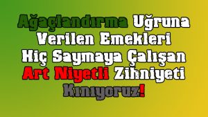 11milyon-fidan-dikim-etkinligi-karalama-calismalari-tepki-haberi-300x169 11milyon-fidan-dikim-etkinligi-karalama-calismalari-tepki-haberi
