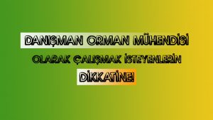 danisman-orman-muhendisi-olarak-calismak-isteyenlerin-dikkatine-haberi-300x169 danisman-orman-muhendisi-olarak-calismak-isteyenlerin-dikkatine-haberi
