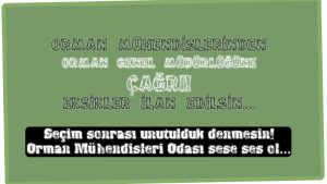 orman-muhendisleri-eksiklerin-ilan-edilmesini-istedi-haberi-300x169 orman-muhendisleri-eksiklerin-ilan-edilmesini-istedi-haberi