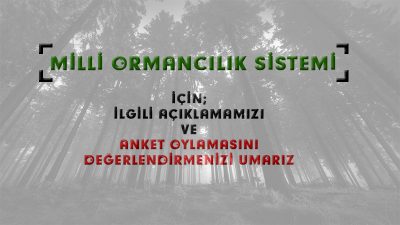 milli-ormancilik-sistemi-anketi-orman-muhendisleri-anketi-400x225 milli-ormancilik-sistemi-anketi-orman-muhendisleri-anketi