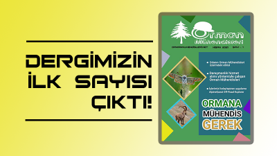 orman-muhendisleri-dergisi-1-sayi-nisan-2021-cikti-haberi-400x225 orman-muhendisleri-dergisi-1-sayi-nisan-2021-cikti-haberi