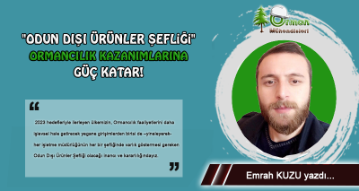 odun-disi-urunler-sefligi-ormancilik-kazanimlarina-guc-katar-emrah-kuzu-kose-yazisi--400x213 Profil