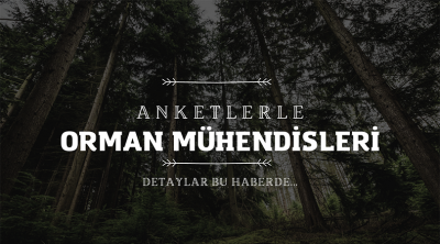 orman-muhendisleri-kapsamli-anket-sonuclari-haberi-400x222 orman-muhendisleri-kapsamli-anket-sonuclari-haberi