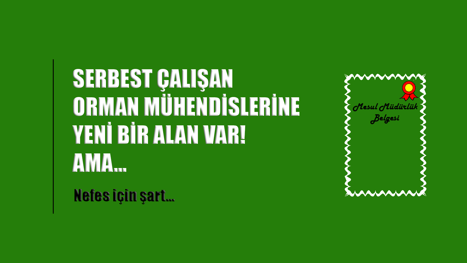 SERBEST ÇALIŞAN ORMAN MÜHENDİSLERİ İÇİN ÖNÜ AÇILMASI GEREKEN BİR ALAN VAR!