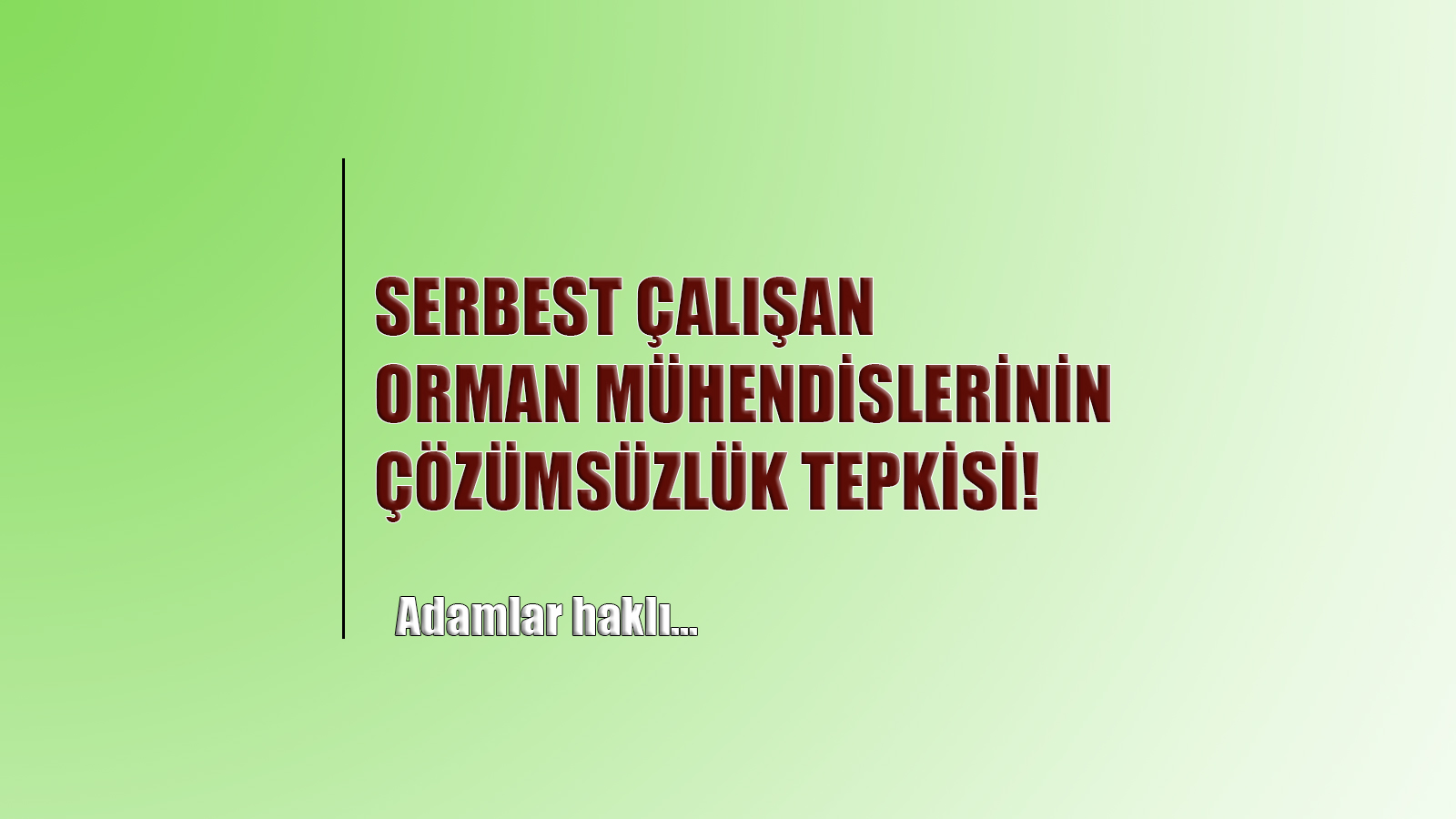 SERBEST ÇALIŞAN ORMAN MÜHENDİSLERİNİN ÇÖZÜMSÜZLÜK TEPKİSİ!