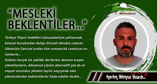 MESLEKİ BEKLENTİLER…